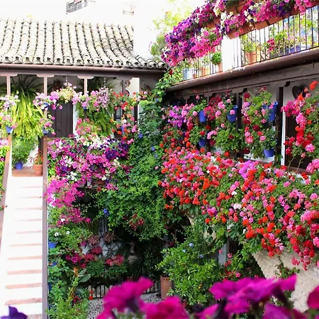 El Rincon De Orive Cordoba