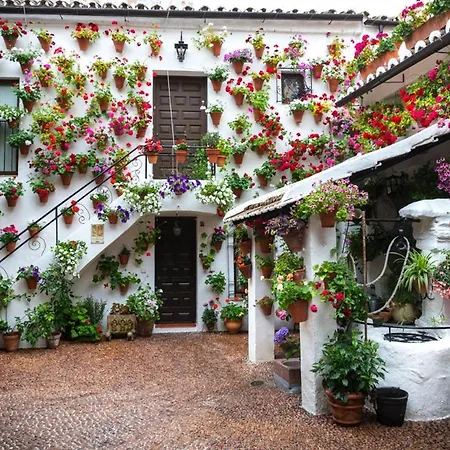 El Rincon De Orive
